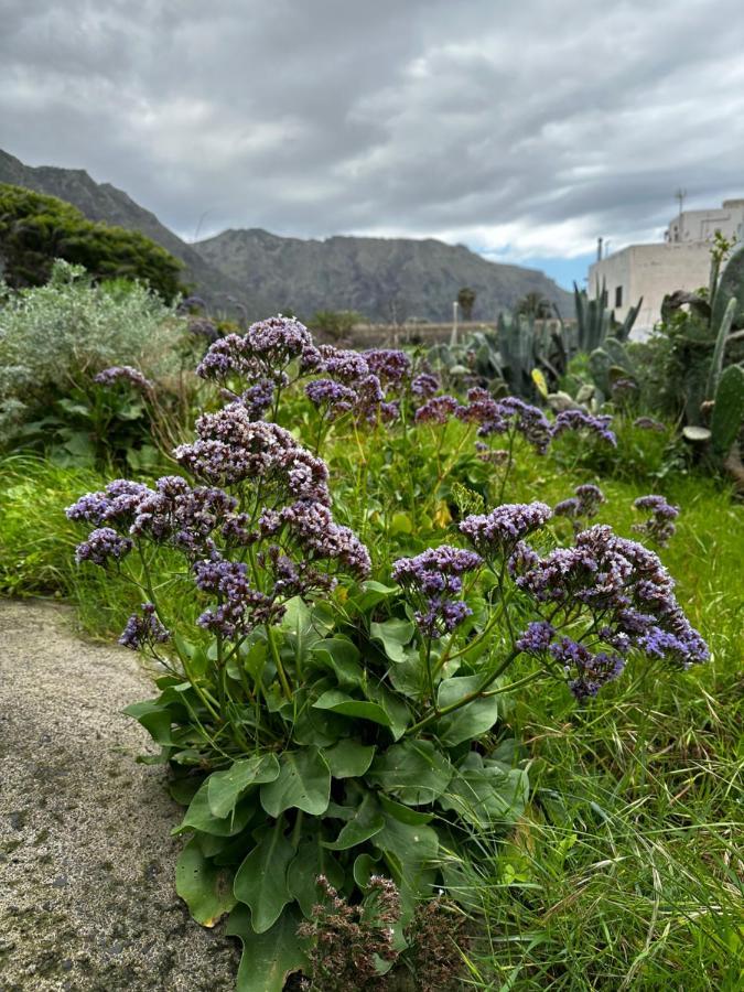Aventura En Buenavista Del Norte Bagian luar foto