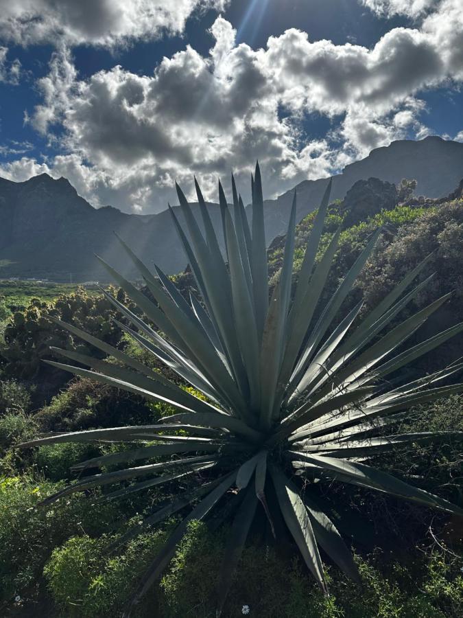 Aventura En Buenavista Del Norte Bagian luar foto